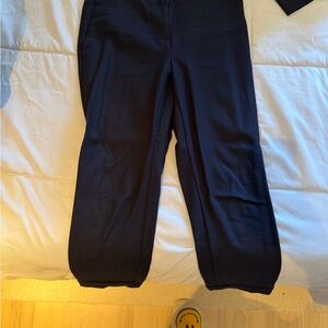 Ann Taylor Navy Ankle Pants